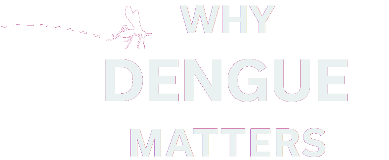 Why Dengue Matters