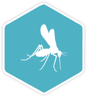 Mosquito icon